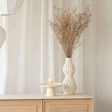Vania Vase | Cream