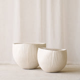 Anta Pot Deco | Natural