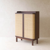 Luna Shoe Cabinet | Teak - Walnut Stained (90cm)