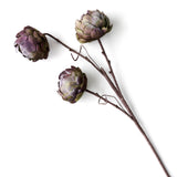 Aristea Flower | Pink