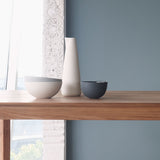 Noodle Bowl Cereal | Ash