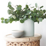 Noodle Bowl Cereal | Ash