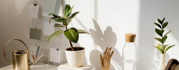 Bring Nature Indoors