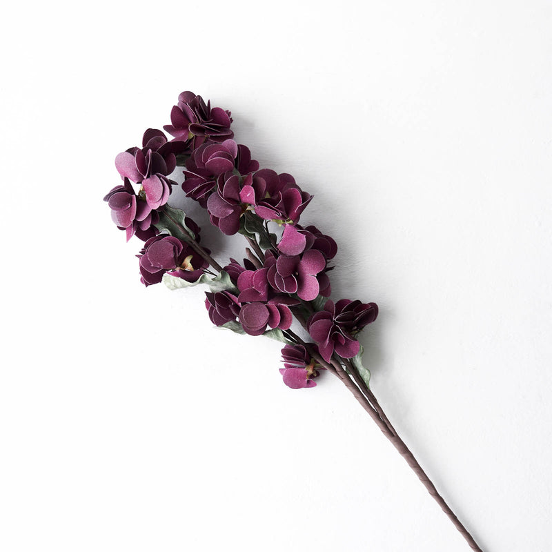 Alocasia Flower | Plum