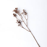 Berry Flower | Beige