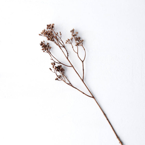 Berry Flower | Beige