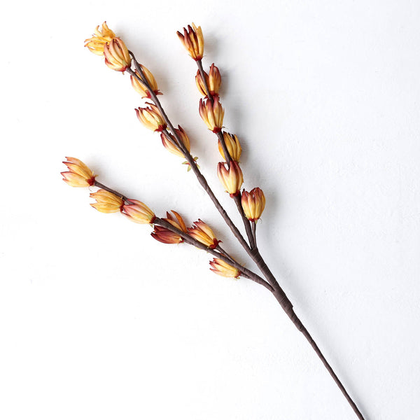 Heli Flower | Tangerine