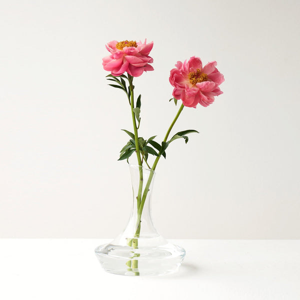 Vino Vase | Small (19.5cm)