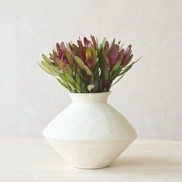 Beato Vase | Cream (30cm) - Originals Furniture