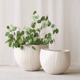 Anta Pot Deco | Natural