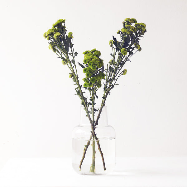 Gracen Vase | Clear Small (25cm)
