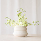 Tarifa Pot | Natural