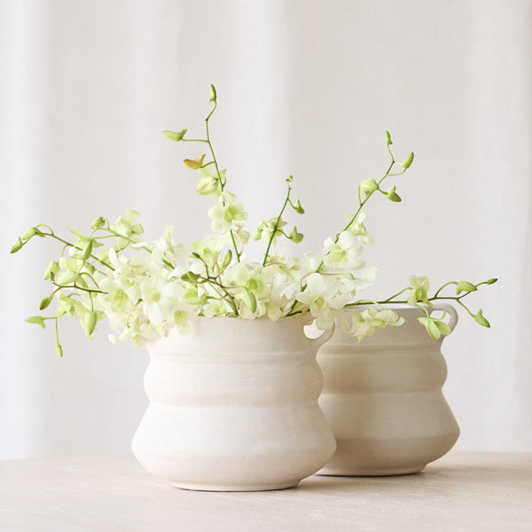 Tarifa Pot | Natural
