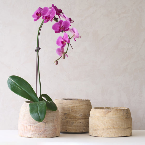 Vintage Wooden Pot