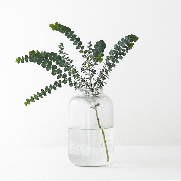 Albie Vase | Clear