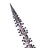 Berry Flower | Purple