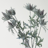 Chardon Brushwood | Green