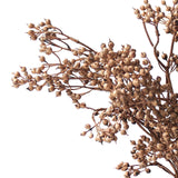 Berry Flower | Beige