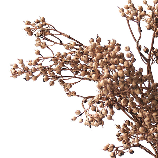 Berry Flower | Beige