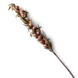 Chabada Flower | Red