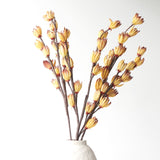 Heli Flower | Tangerine