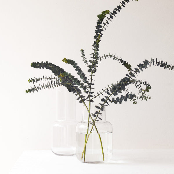 Gracen Vase | Clear Small (25cm)