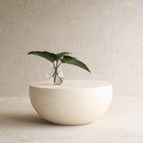Bennie Coffee Table | White (80cm)