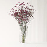 Vase | Bhada