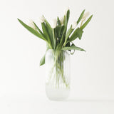 Vase | Cosima