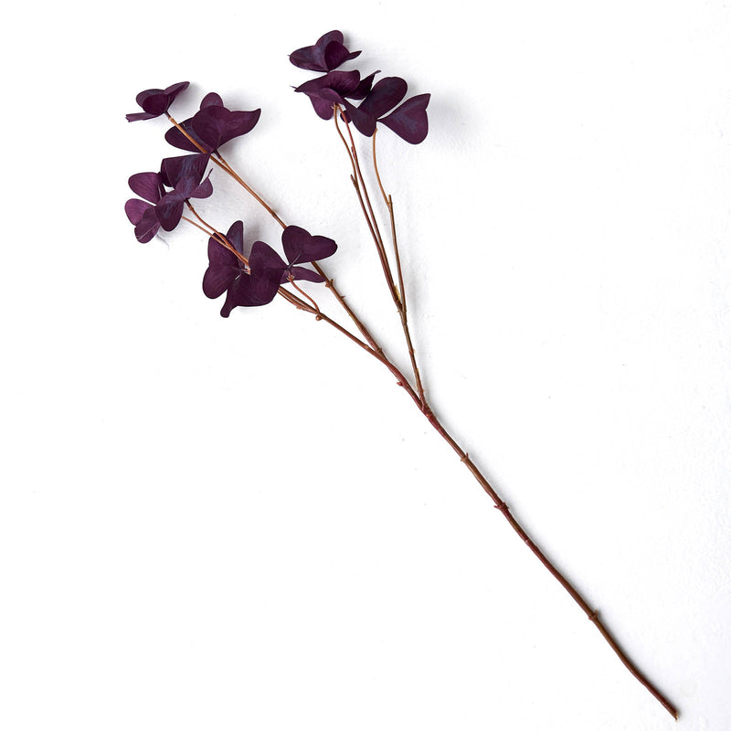 Trifolium Flower | Plum