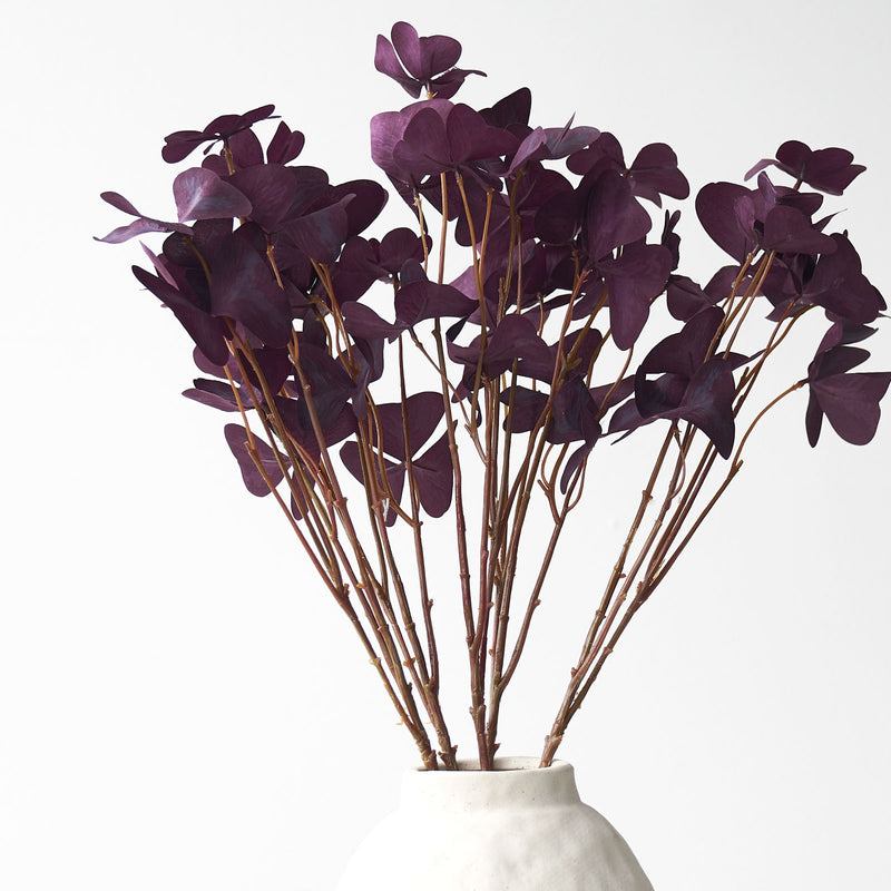 Trifolium Flower | Plum