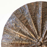 Decorative Shield XL - D